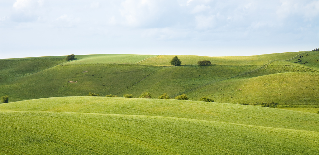 Paisaje de Brorfelde, Dinamarca | Stig Nygaard