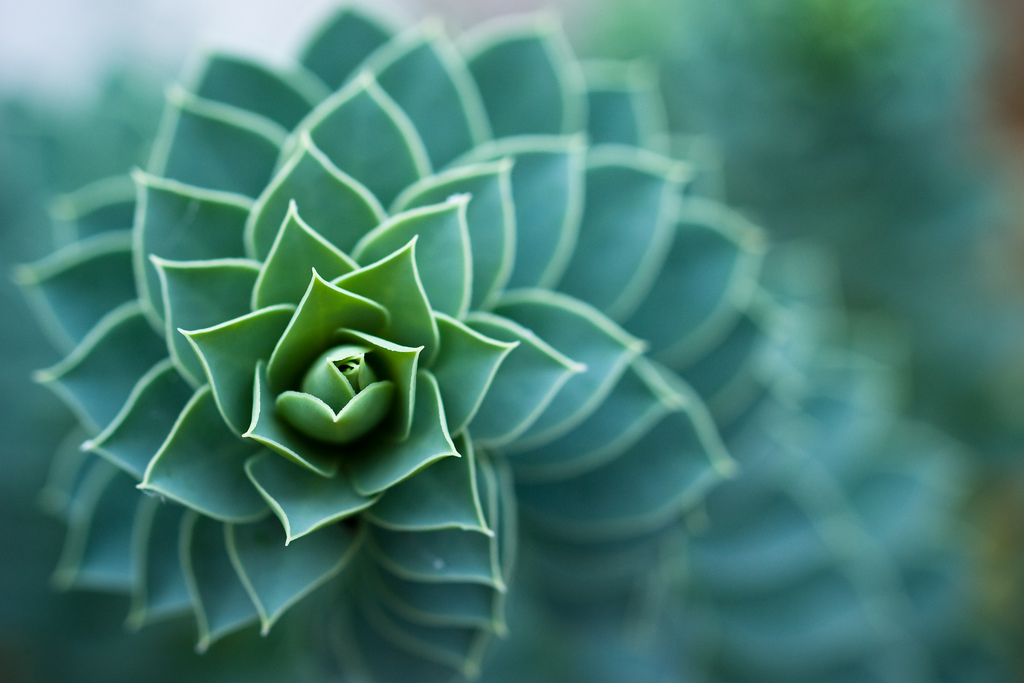 Bokeh Spiral | eriwst