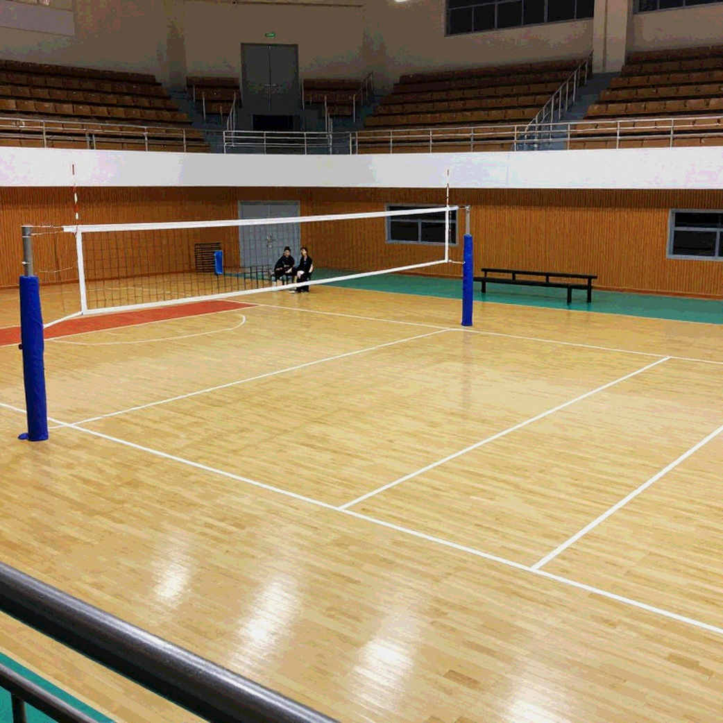 Phần Lan hạ Ý 3-2 ở tứ kết EuroVolley 2026: tấm vé World Cup đến từ bốn điểm