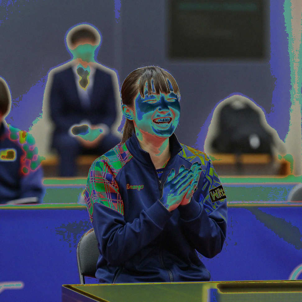 The Blank Page in Vietnam's Table Tennis Spreadsheet