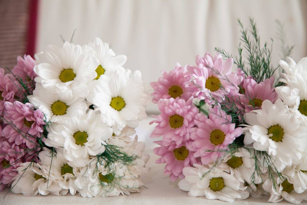 a1sx2_Original1_EYD-01-8614